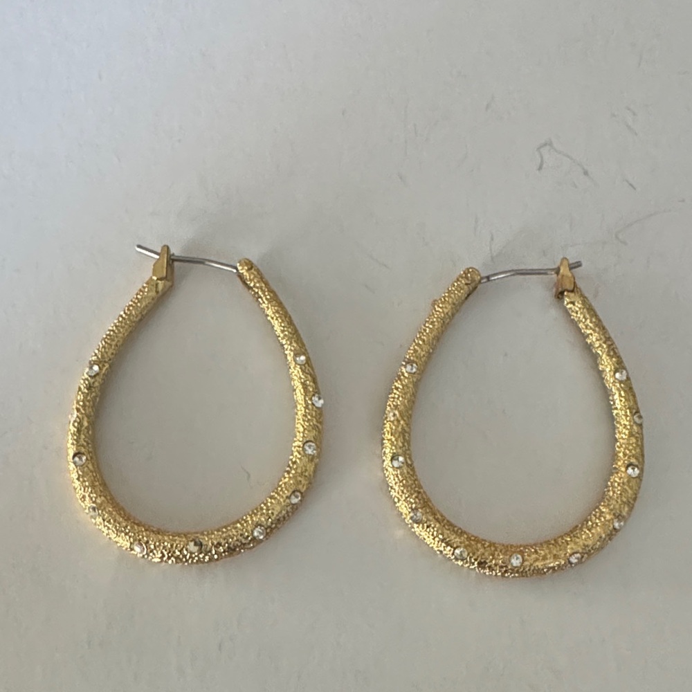 Elegant Gold Hoop Earrings